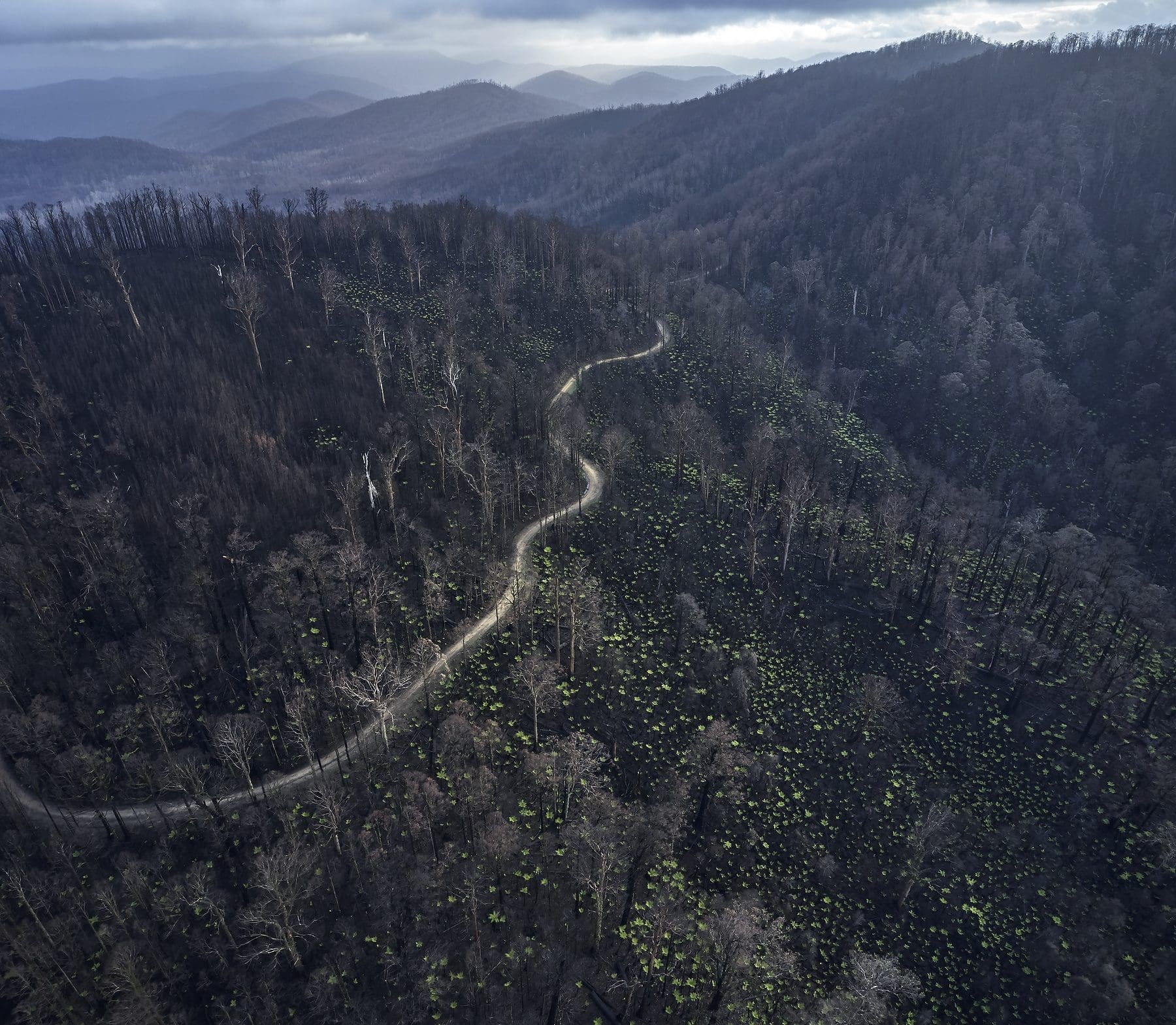 Kuark March 2020