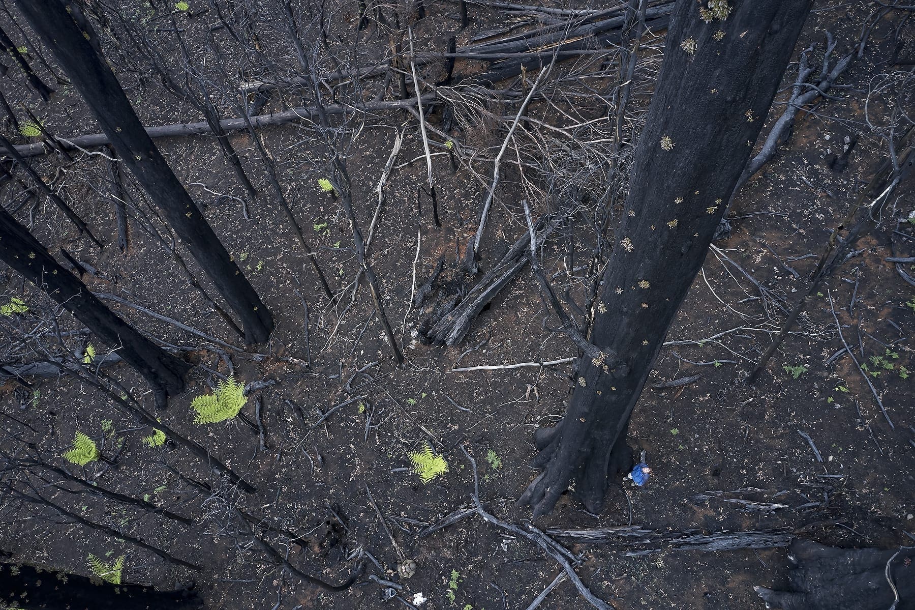 Kuark March 2020