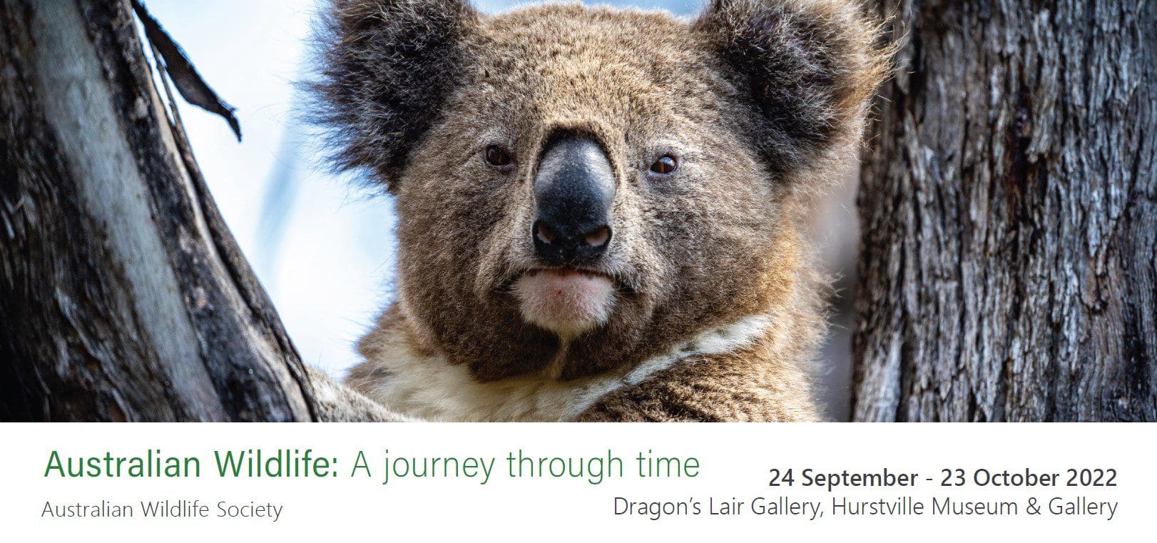 Australian Wildlife Week 2022 | Australian Wildlife Society