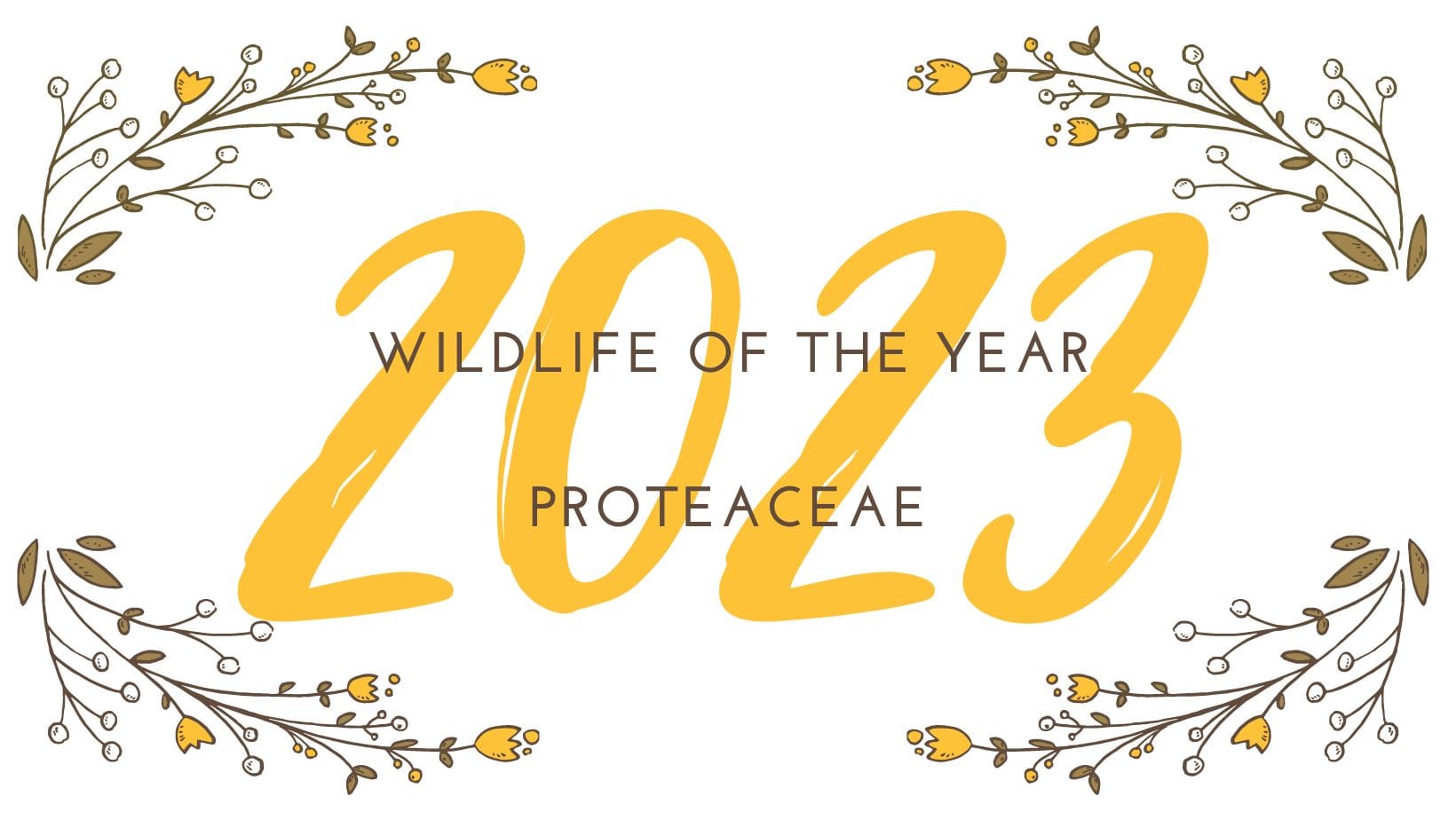 2023 Wildlife of the Year