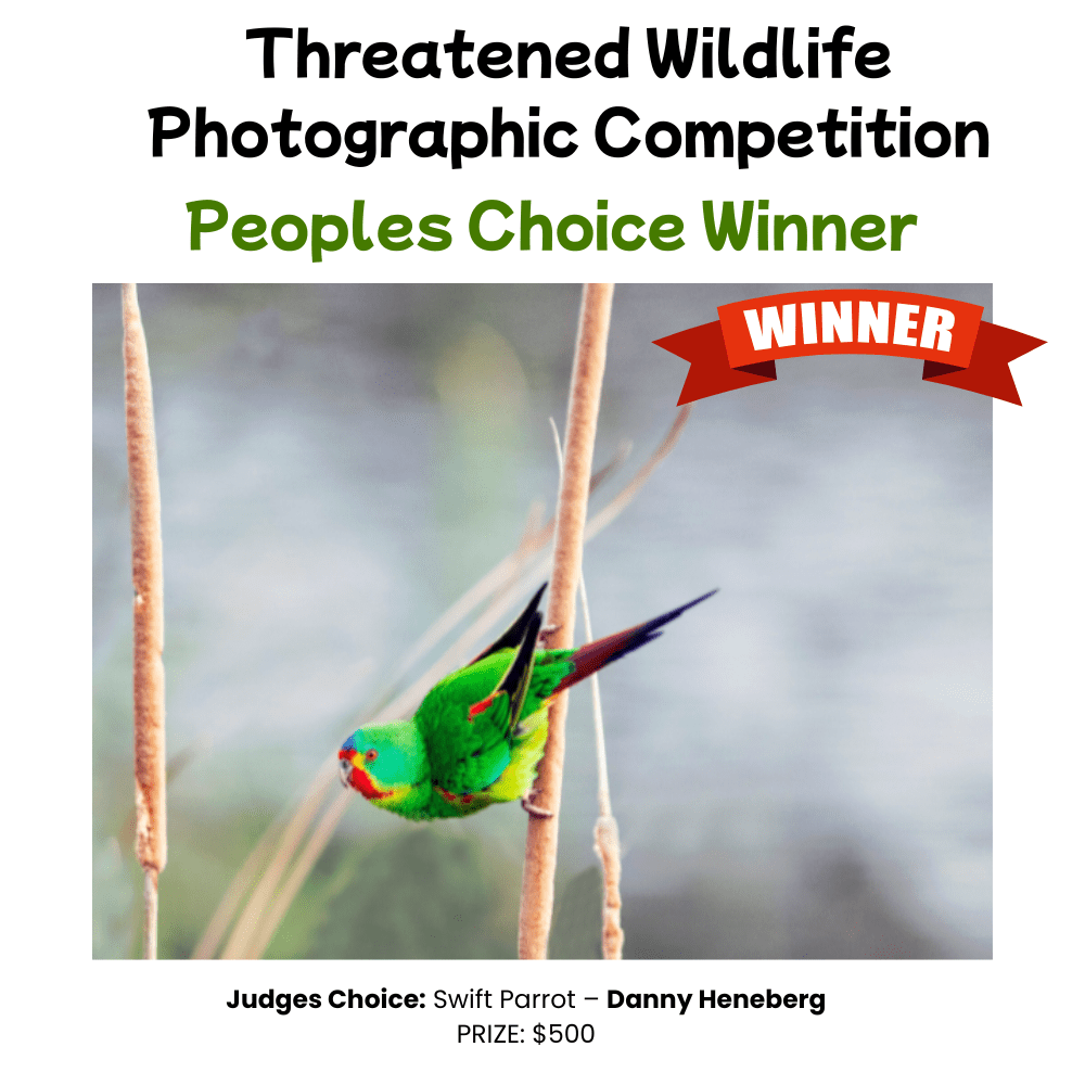 Peoples Choice
